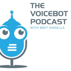 voicebot