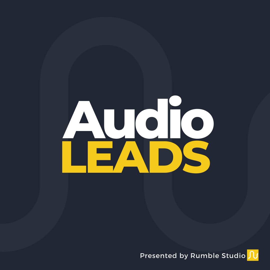 Audio Leads show image